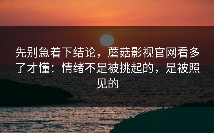 先别急着下结论，蘑菇影视官网看多了才懂：情绪不是被挑起的，是被照见的