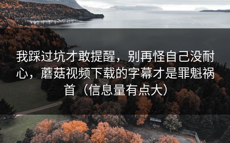 我踩过坑才敢提醒，别再怪自己没耐心，蘑菇视频下载的字幕才是罪魁祸首（信息量有点大）  第1张